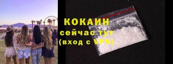 эйфоретик Аркадак