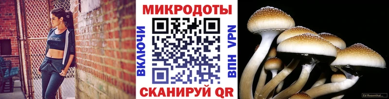 ОМГ ОМГ как войти Сарапул Псилоцибиновые грибы мицелий
